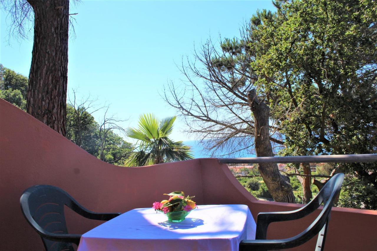 Hotel - Giardino Marchese D'Altavilla トロペーア エクステリア 写真